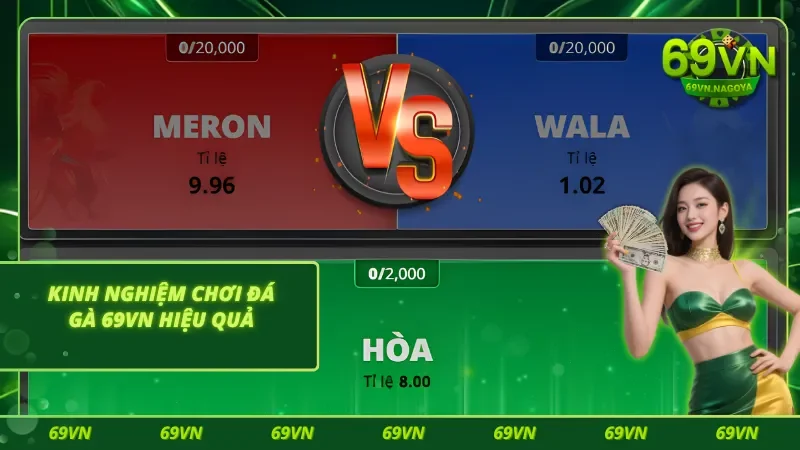 Tiết lộ các chiến lược cá độ chọi kê hiệu quả