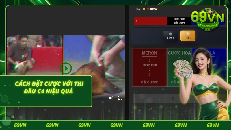 Cách đặt cược với thi đấu đá gà c4 hiệu quả